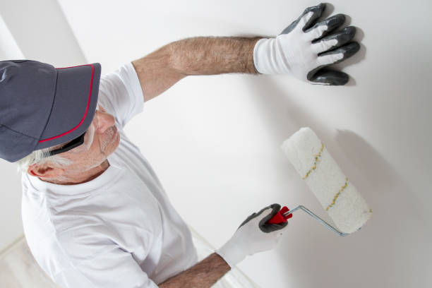 Best Attic Mold Removal  in Scotchtown, NY