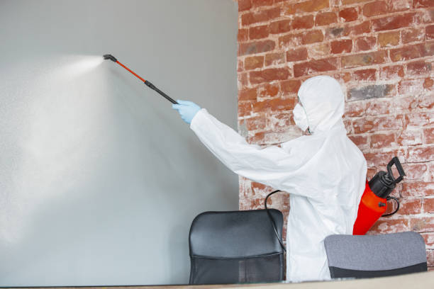 Best Airborne Mold Testing  in Scotchtown, NY