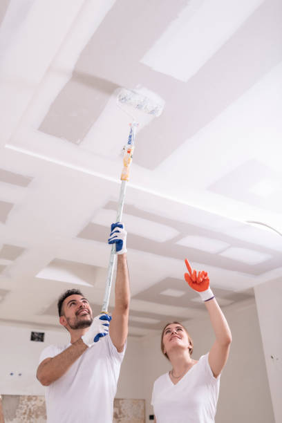 Best Emergency Mold Remediation  in Scotchtown, NY