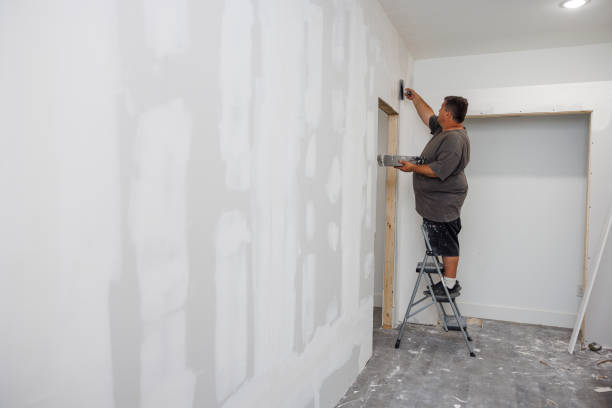 Mold Odor Removal Services in Scotchtown, NY