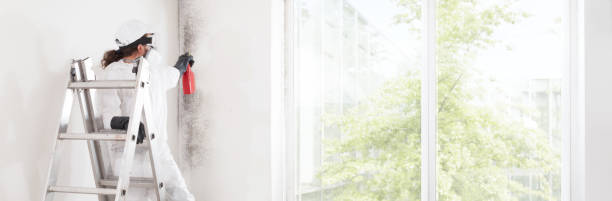 Best Post-Construction Mold Inspection  in Scotchtown, NY