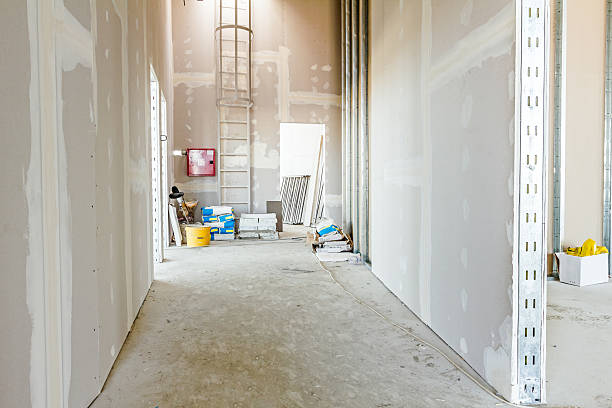Best Real Estate Mold Inspection  in Scotchtown, NY